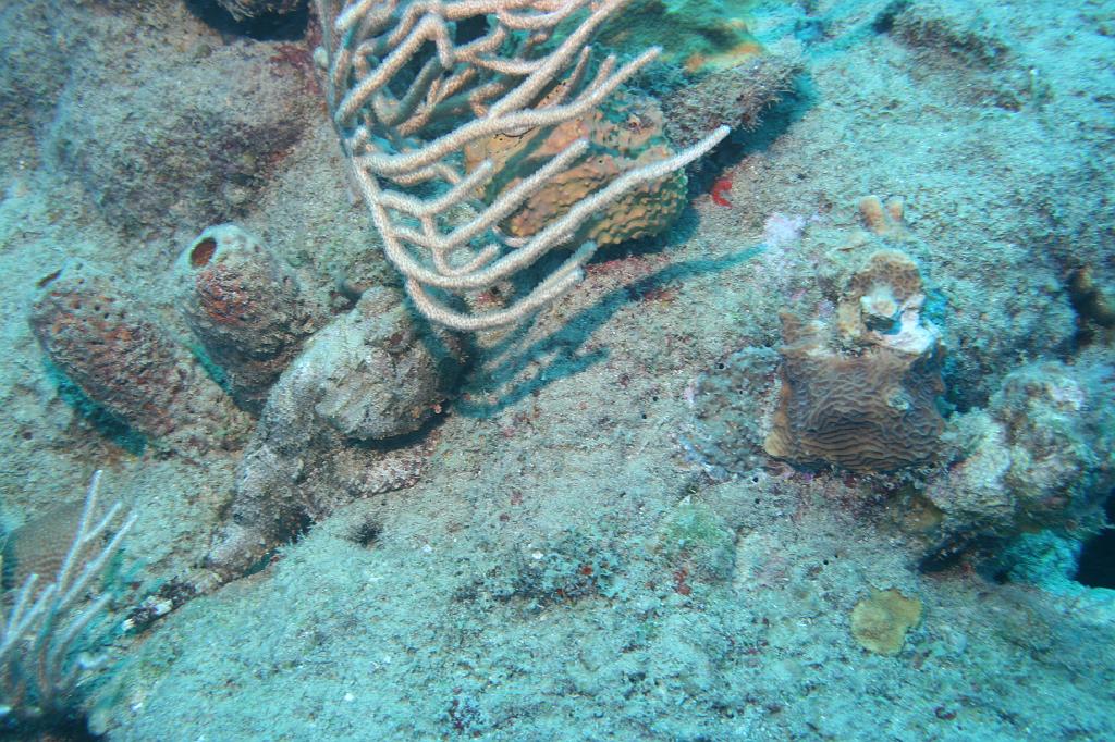 2008-05-17 15-12-08 H.JPG